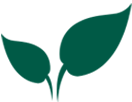 Indoor Air Quality icon-indoor air Quality